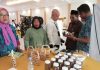 Dinas P3A Konawe Gelar Sosialisasi UMKM