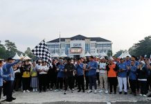 Hari Desa Nasional 2026, Pemkab Konawe Selatan Gelar Jalan Sehat dan Perkuat Koordinasi Desa